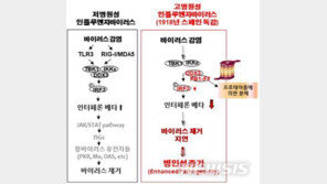 韓연구진, 1918년 5000만명 사망 ‘스페인 독감’ 원인 규명