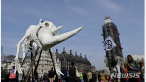 “최대 백만종 수십년내 멸종 위기” 유엔 보고서