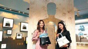 화가 르네의 명작, 명품가방으로