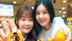 “망고맛 나는 비파… 맛보실래요”