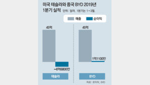 BYD 날때 테슬라 후진… 中-美 대표 전기車 희비