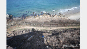 강원 동해안 육군 철책 일부 절단…정부합동조 “대공용의점 없다”