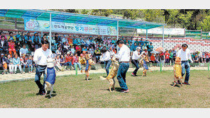 “진돗개와 춤을”… 4일부터 이틀간 진도서 페스티벌