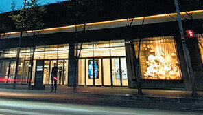 한화의 신기루… 거위는 황금알을 낳지 못했다