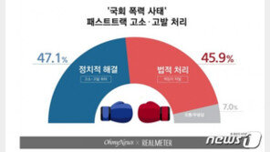 국회 폭력 고소·고발, 정치적 해결 47%…법적 처리 46% ‘팽팽’