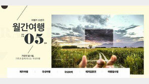 11번가, 11일까지 여행 기획전