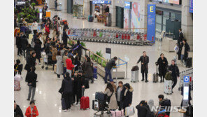 중국인 172명 불법 입국 적발…여행사 대표 등 구속