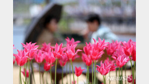 [날씨] 2일 낮 20도 웃돌아…오전 미세먼지 ‘나쁨’