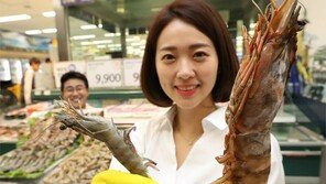 “일반새우 20배… 킹블랙타이거 새우 왔어요”