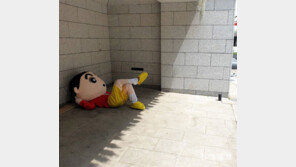 [고양이 눈]짱구 없∼다∼