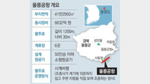 2025년부터 울릉도 비행기 타고 간다