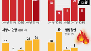 임야 화재로 매년 13.8명 숨져…67% ‘70세 이상 고령’