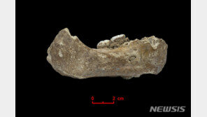 中 간쑤성 16만년 전 턱뼈, 인류 조상의 친척 데니소바인