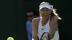 샤라포바, 이탈리아 인터내셔널도 기권…어깨 부상