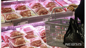 물가 4개월째 0%대 상승…유류세 인하 끝나면 2%대 회복할까