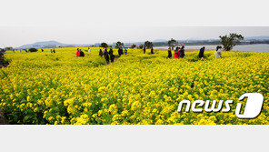 제주관광객 14년만에 줄었다…체류일수도 4.49→3.95일