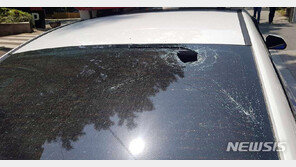 우울증 여성 아파트 15층서 물건 투척…택시·순찰차 파손