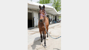 케이엔블루 vs 금비랑, 동갑내기 라이벌 매치