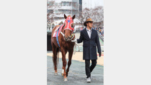 ‘관리짱’ 경주마 선발대회