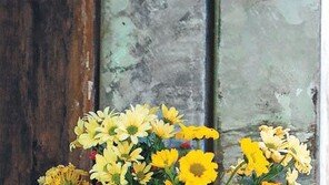 [고양이 눈]향기 한잔하실래요?