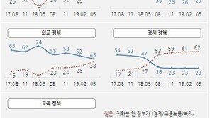 文정부 2년 평가…복지는 51%가 호평, 경제는 62%가 혹평