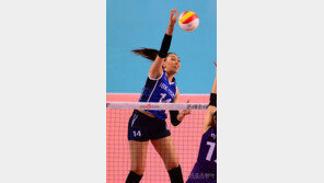 ‘IBK기업은행’ 어나이, ‘현대건설’ 마야, V리그에서 1년 더 본다…원 소속팀과 재계약