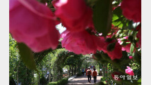 ‘계절의 여왕’ 위협하는 미세먼지·온난화…푸르른 5월 계속 볼 수 있을까?