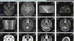 ID카드에서 블록체인까지… ‘메디컬 IT시대’ 성큼