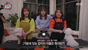 ‘마리텔V2’ 안유진, 큐티 매력에 퐁당~ “강아지끼리 노네”