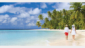 [Travel Trend]휴양지 강세 속 실속있는 신혼여행 챙겨