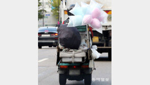 [고양이 눈]연휴에 비싸게 팔릴 몸