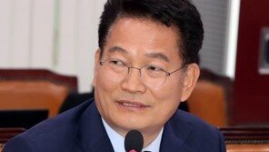 ‘러시아 아가씨 품’…송영길 기사에 악플 2심도 무죄