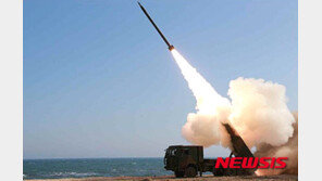 300㎜ 방사포? 단거리 미사일?…北 발사체 정체는