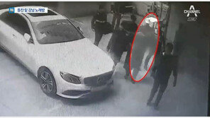 ‘낸시랭 폭행’ 혐의 왕진진, 영장심사…오늘 구속여부 결정