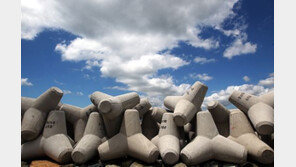 사진 찍던 40대男, 테트라포드 사이 추락…자력 탈출