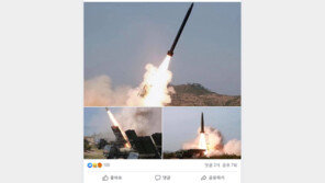 “北 발사체는 북한판 이스칸다르…단거리지만 탄도미사일”