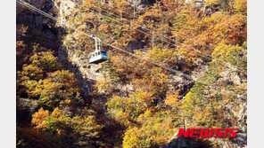 설악산 권금성 케이블카 결함 운행 중단 관광객 불편