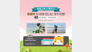 SNS에 반려동물 여행사진 올리면 제주여행 찬스~