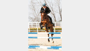 제8회 정기룡장군배 전국승마대회 성료