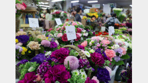 어버이날 기다리는 카네이션