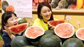 “달고 아삭한 흑미수박 나왔어요”