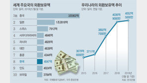 외환보유액은 국가의 ‘비상금’