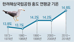 온난화로 홍도 갈매기 번식기 빨라져… 한려해상 생태계에 큰 변화