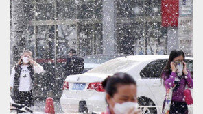 ‘꽃가루 함박눈’에 몸살앓는 베이징