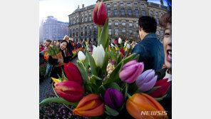 네덜란드 “관광객 제한 시급”…관광세 도입 등 추진