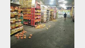 파푸아뉴기니서 규모 7.2 강진…쓰나미 위험 ·인명피해 신고 無 