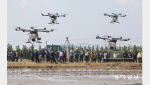 드론으로 볍씨 파종