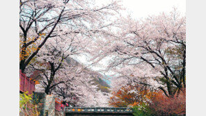 그곳에 가면… 청정 자연에 역사의 숨결이