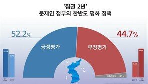 ‘집권 2년’ 文 정부 한반도 평화 정책 “잘한다” 52% vs “못한다” 45%