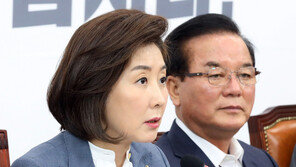 나경원 “문재인 2년 낙제점…3대 ‘악의 축’에 경제 중병 앓아”